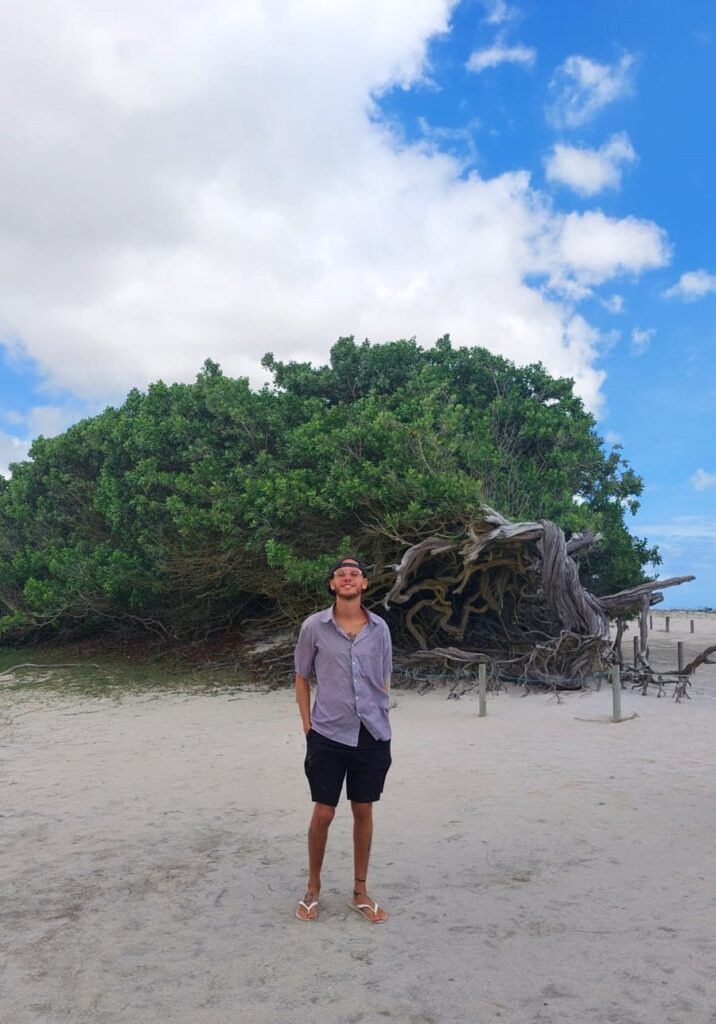 passeios-e-turismo-em-jericoacoara-arvore-da-preguiça